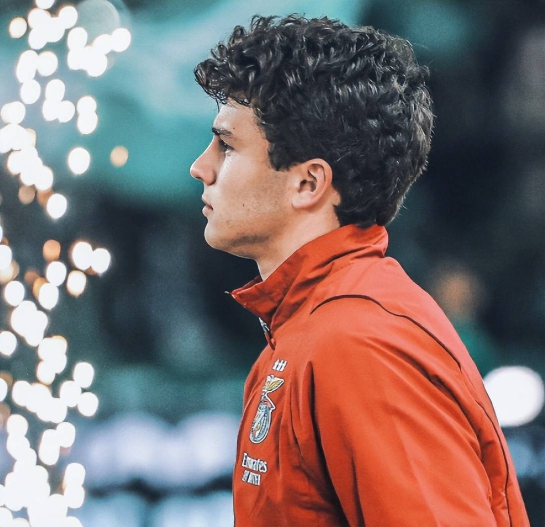 包含阿贾克斯新星崭露头角,荷甲球队风头无两的词条 包含阿贾克斯新星崭露头角,荷甲球队风头无两的词条