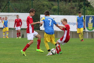 三亿体育体育官方-西雅图海湾者新援首秀引期待，世俱杯表现备受关注